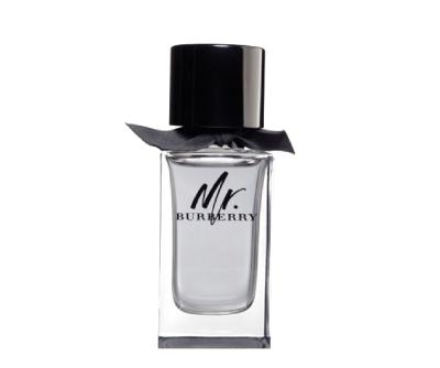 Burberry Mr. Burberry EDT 100 ml Erkek Parfüm