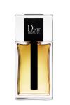 Dior Homme Eau de Toilette 100 ml Man tester