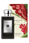 Jo Malone Dark Amber & Ginger Lily Cologne Intense 100ml JLT