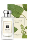 Jo Malone London Wood Sage & Sea Salt 100ml Bayan Parfüm Unisex JLT